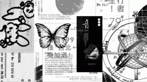 Butterfly Geography GIF - Butterfly Geography Aesthetic GIFs