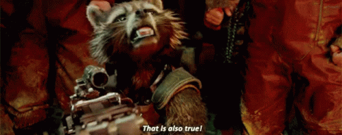 That Is Also True Rocket Racoon GIF - That Is Also True Rocket Racoon Gotg GIFs