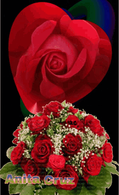 a bouquet of red roses with the name anita cruz written on the bottom