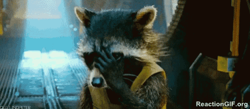 a raccoon is covering his face with his hand .