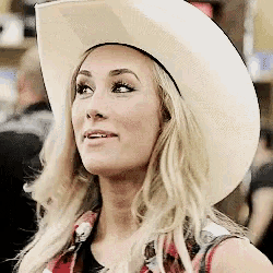 a woman wearing a cowboy hat and a plaid shirt is looking up .