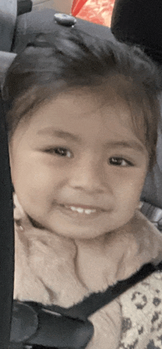a little girl sitting in a car seat smiling for the camera
