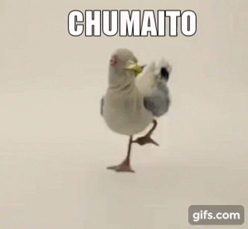 Chumaito Bird GIF - Chumaito Bird GIFs