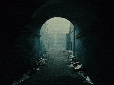 a person carrying a cat in a dark tunnel