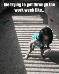 Work Week GIF - Work Week GIFs
