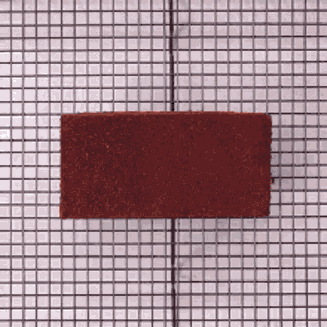 a piece of red brick is sitting on a grid