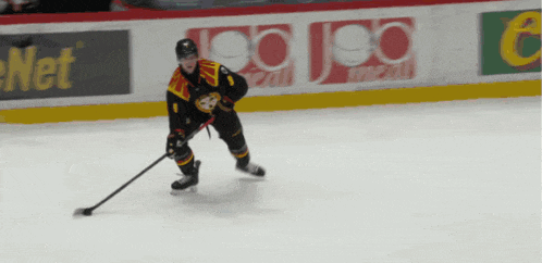 a hockey player on the ice in front of a sign that says net