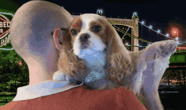 a bald man is holding a small brown and white dog in front of a sign that says bell