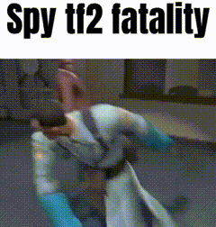 a screenshot of a video game with the words spy tf2 fatality at the top