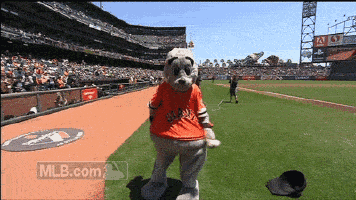 a mascot on a baseball field with the mlb.com logo in the background