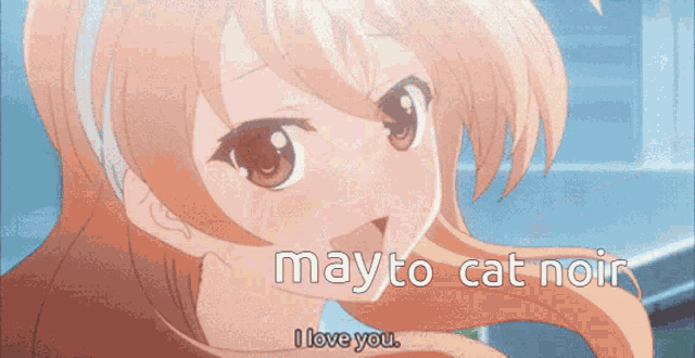 a girl says mayto cat noir i love you in a cartoon
