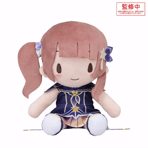 a stuffed animal with chinese writing on the back