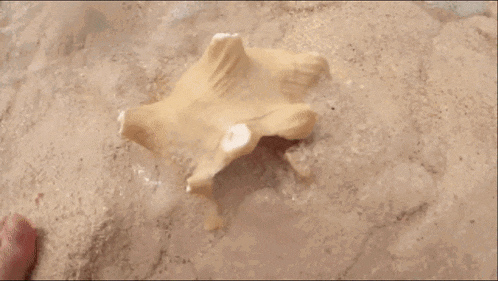 a dragon with wings is laying on the ground next to a rock
