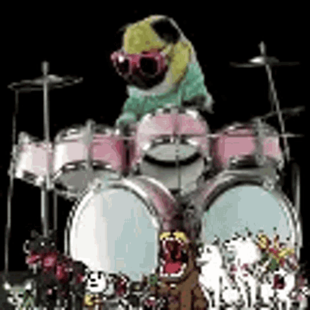 a pug dog is sitting on top of a drum set with other dogs .