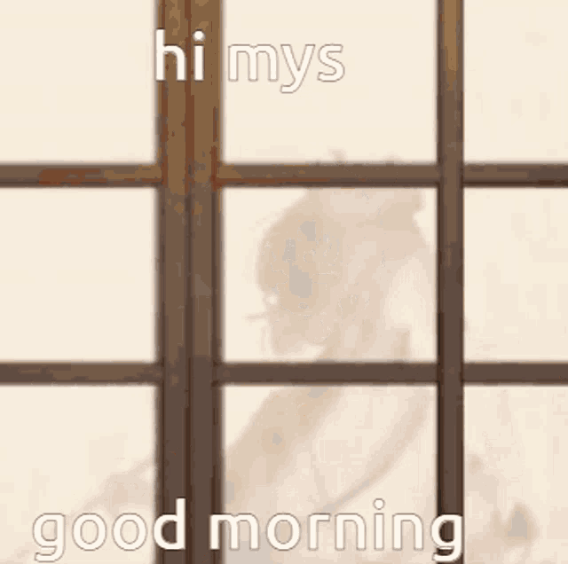 a picture of a window with the words hi mys good morning written on it