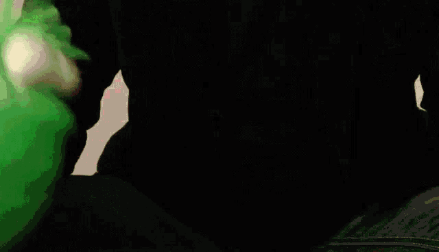 Bmblik GIF