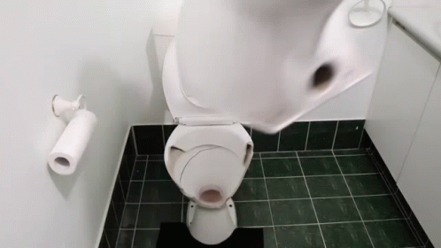 How To Basic How To Basic Toilet GIF - How To Basic How To Basic Toilet How To Install A Toilet GIFs