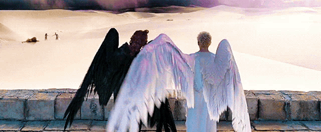 a couple of angels standing next to each other with their wings outstretched .