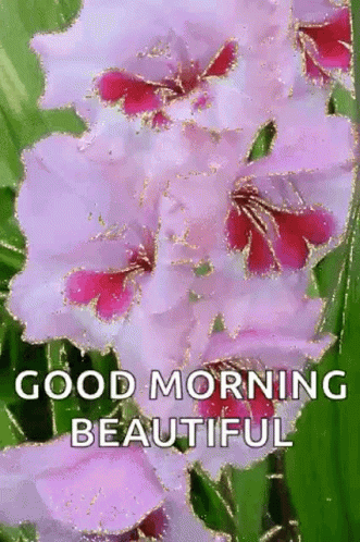 Good Morning Sparkles GIF - Good Morning Sparkles Flowers GIFs
