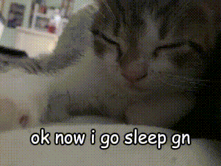 Ok Now I Go Sleep Gn Cat GIF - Ok Now I Go Sleep Gn Sleep Cat GIFs