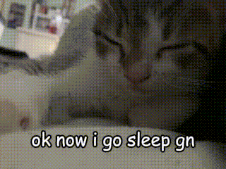 a cat laying on a bed with the words ok now i go sleep gn