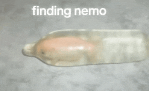 a picture of a fish in a condom with the words " finding nemo " above it