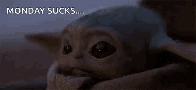 a baby yoda from the mandalorian is looking at the camera with the words `` monday sucks '' written above it .