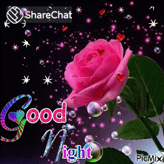 a pink rose is surrounded by bubbles and stars and says good night .