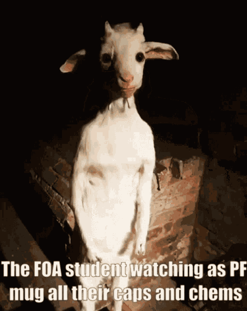 Falloutincursion Foa GIF - Falloutincursion Foa Followers GIFs