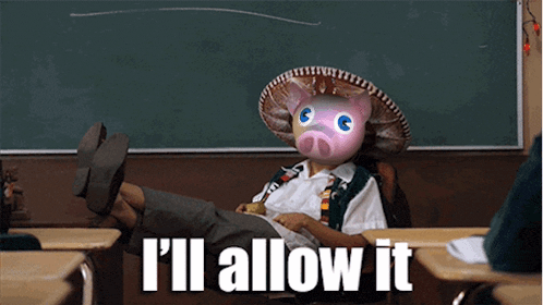 a person wearing a sombrero with a pig face and the words i 'll allow it on the bottom