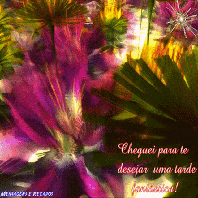 cheguei para te desejar uma tarde fantastica is written in pink