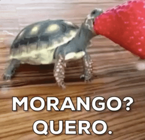 Eu Amo Moranguinhos / Tartaruga GIF