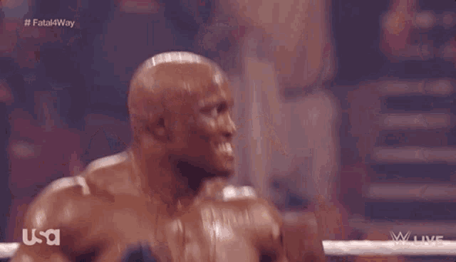 a wrestling match is being broadcast on usa