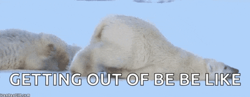 a polar bear laying down with the words getting out of be be like above it