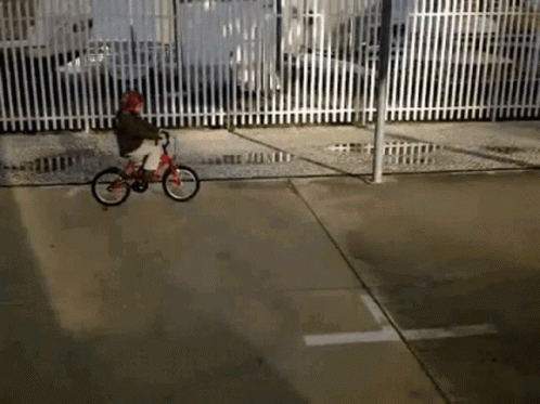 Bycicle Fall GIF - Bycicle Fall GIFs