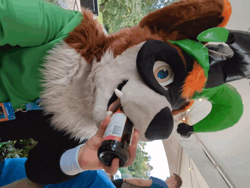 a person in a furry animal costume holds a bottle of beer