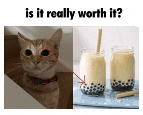 a picture of a cat next to a picture of a bubble tea drink