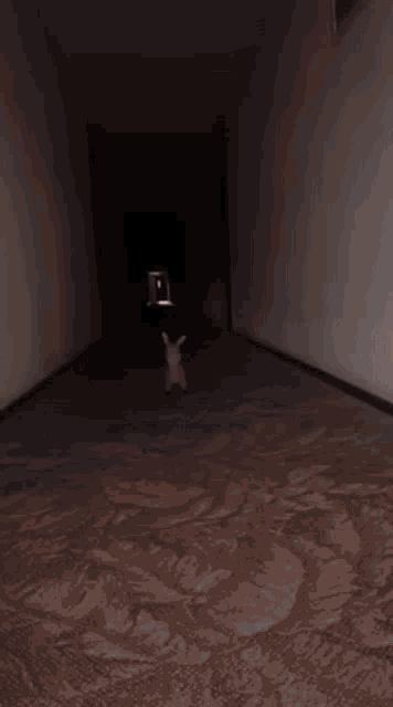 a white rabbit is standing in a dark room and looking at the camera .