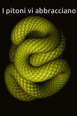 a picture of a snake with the words " i pitoni vi abbracciano " below it