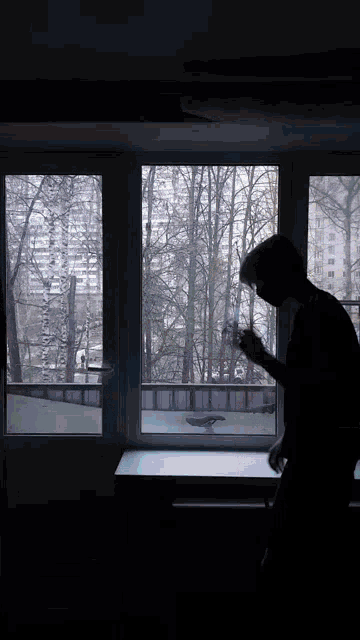 a person standing in front of a window with a view of trees