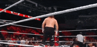 a man is standing in the middle of a wrestling ring with a referee .
