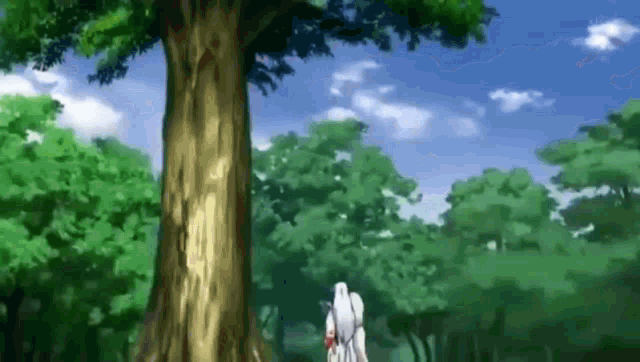 a man in a white shirt is standing in front of a tree in a forest .