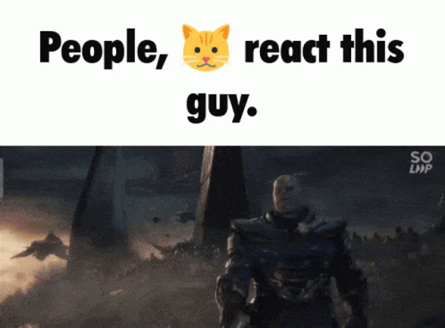 Cat Reaction GIF - Cat Reaction Discord GIFs