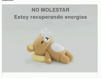 a brown teddy bear laying on a yellow pillow with the words no molestar written above it