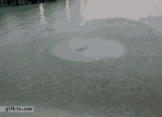 a picture of a body of water with a gifbin.com watermark