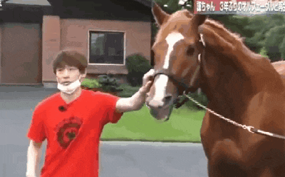 a man wearing a red shirt is petting a brown horse