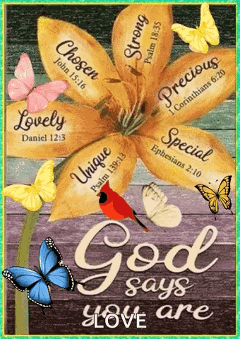 a picture of a flower with bible verses on it and butterflies .