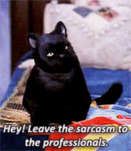 a black cat is sitting on a bed with the words " hey leave the sarcasm to the professionals "