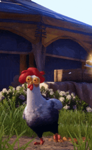 a chicken with big eyes and a red hat standing in the grass