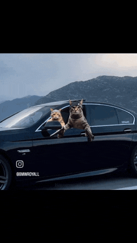 a blurry picture of a car driving down a road with the words bmwroyall on the bottom